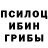 Галлюциногенные грибы мицелий Roman Inashevskiy