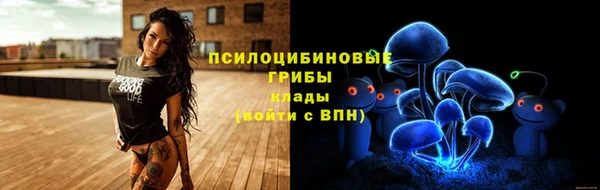 тгк Кодинск