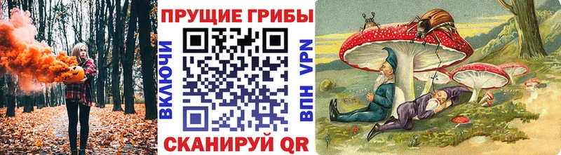 Псилоцибиновые грибы мицелий  Циолковский 